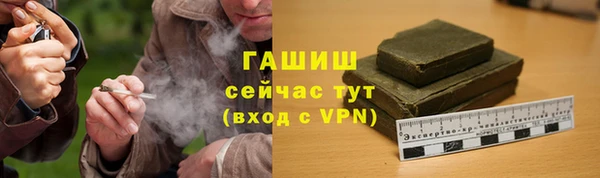 прущие грибы Покровск