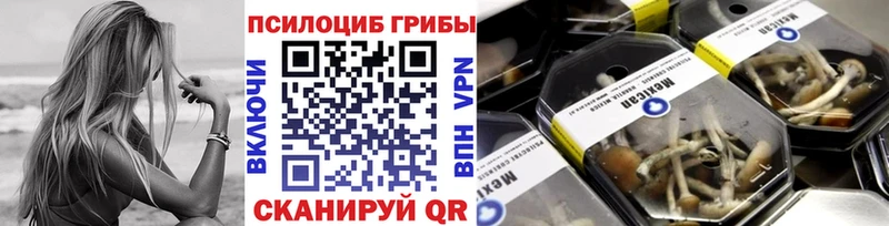 Псилоцибиновые грибы мицелий mega tor Великий Устюг